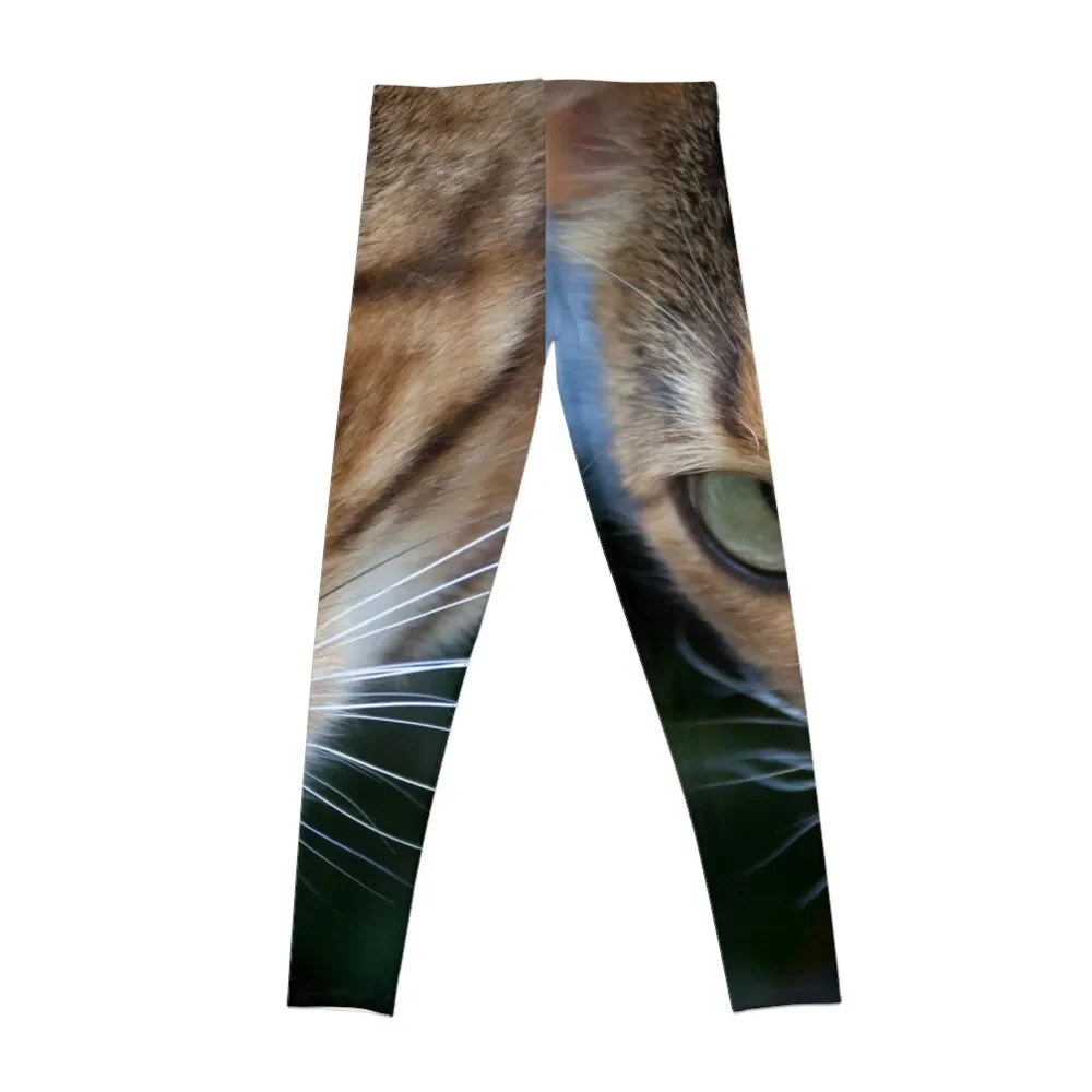 Beautiful Bengal Cat Observing Something Leggings Women's tights Women's high waist Sweatpants legging push up Womens Leggings