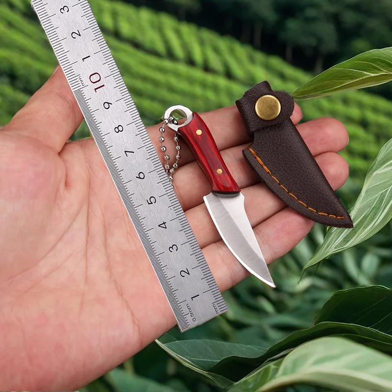 1pc Portable EDC Pocket Knife，Sharp Fruit Knife and Keychain Knife，Stainless Steel Mini Cleaver for BBQ,Home,Hiking