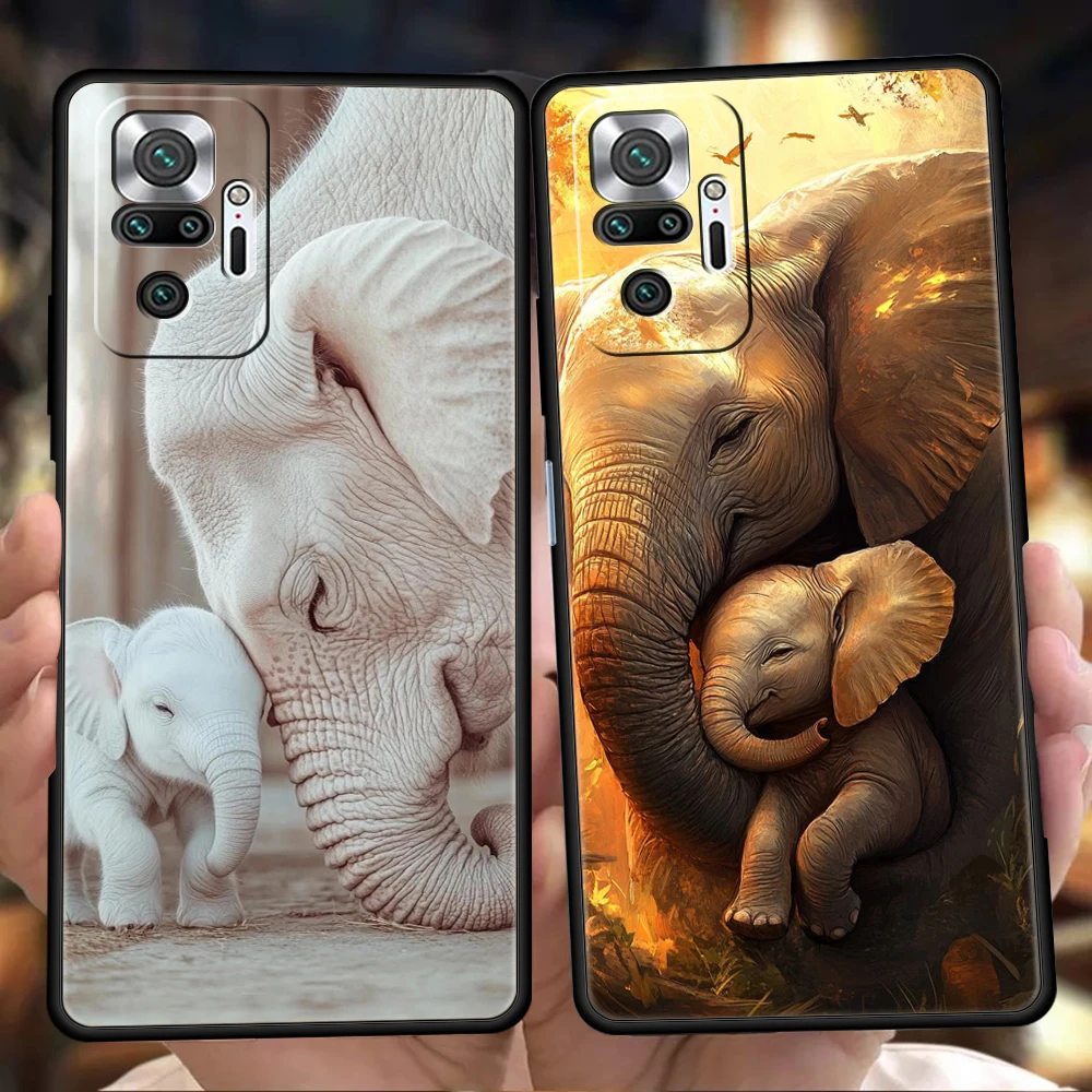 Animal Elephant Pho…