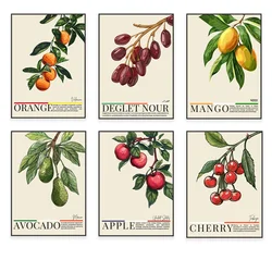 Kitchen poster, Algeria, Turkey, USA, Spain, Mexico, India, China, fruit art, food poster travel souvenirs, home decoration
