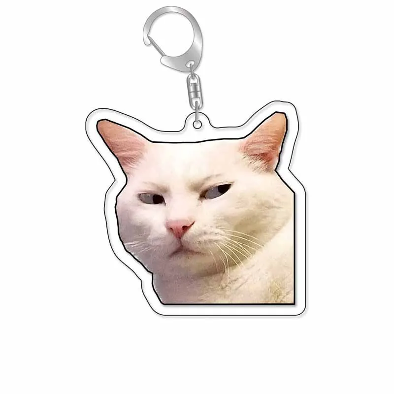 Porte-clés pour animaux de compagnie, pendentif d'expression, grenouille, chien, créativité, chaton, photos, souvenirs, paquet en acrylique, accessoires de décoration, sac, cadeau d'anniversaire
