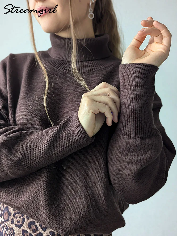 Oversized Winter Turtleneck Sweater Women Brown Pullovers Loose Basic Knit Christmas Jumper Warm Women Burgundy Sweater Oversize