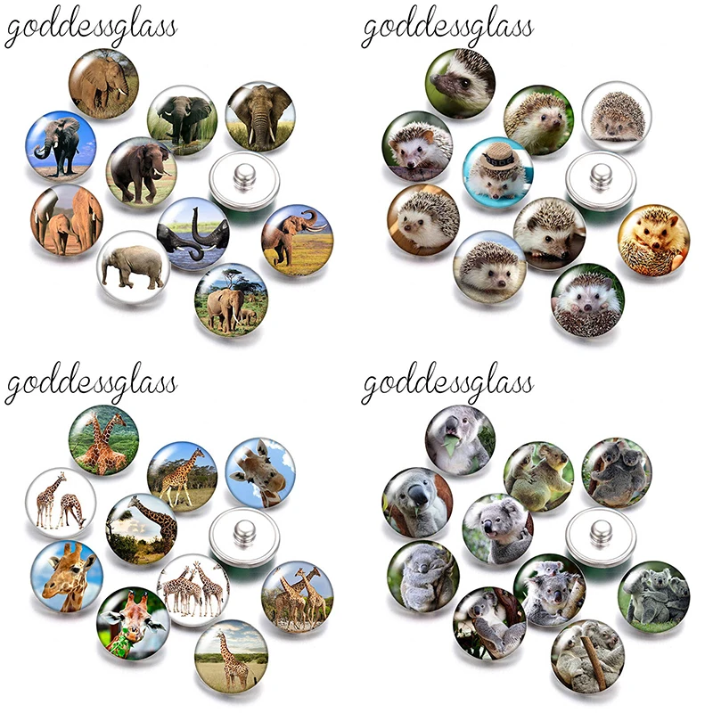 Animals Elephant giraffe hedgehog Wolf Fox 10pcs mix Round photo 18mm/12mm snap buttons for 18mm/12mm snap jewelry DIY findings