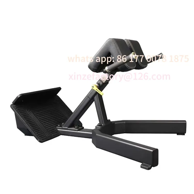 

Customizable Roman Chair Gym Equipment for Home Use