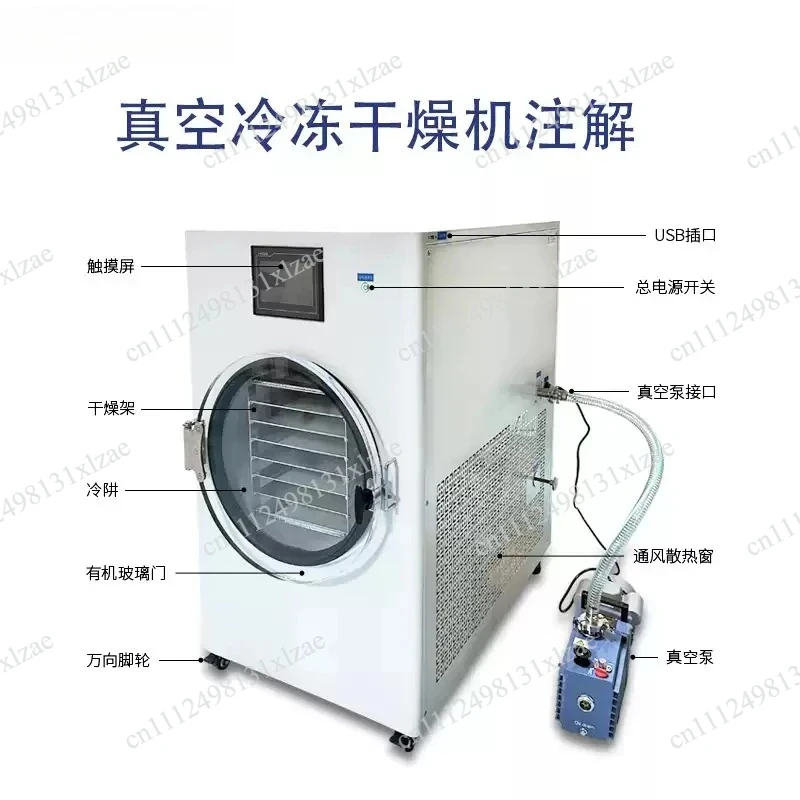 Industrial 30kg Freeze Dryer 2026 - Oil-Free Vacuum Pump Lyophilization Machine for Pharmaceutical & Food