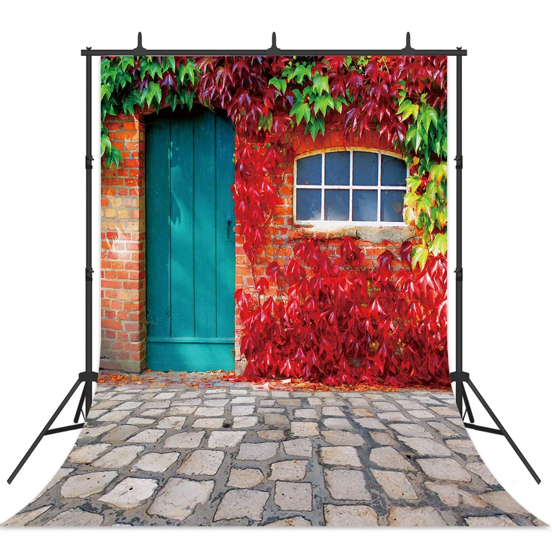 Dolls Photozone Photography Backdrop Street Colorful Door Flowers Leaves Wall Store Background for Children Baby Photo Studio