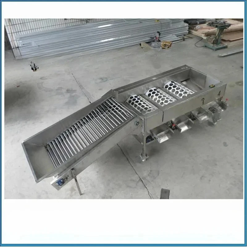 

2026-Garlic Sorting Machine/fruit Grader Machine/vegetable Fruit Sorter In Fruit And Vegetable Production Base