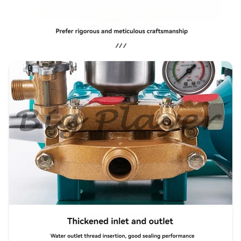 Agricultural Orchard Electric Sprayer Pump - 48V 60V High Pressure Tool for Breeding Disinfection and Crop Spraying