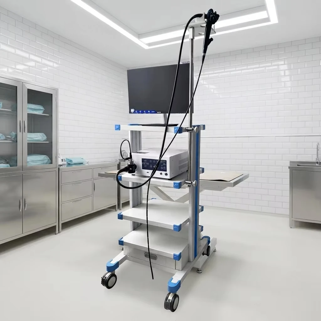 EURVET medical endoscopic video system with monitoring light source, suitable for laparoscopic otolaryngology, gynecology, ortho