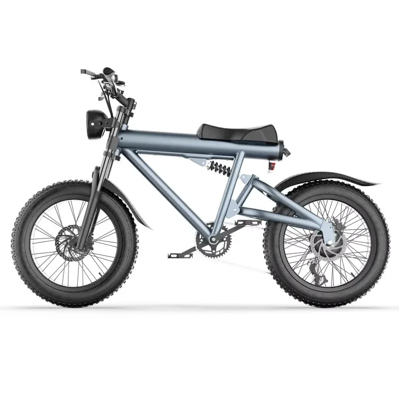 Electric Bicycle Dirt Bikes 20 Inch Sport Mountain Fat Tire Ebike Electric City Bicycle