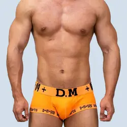 Designer Men's Underwear Boxers Low Waist Fashion Under Panties Comfortable Cotton Underpants