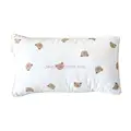 bear pillow case
