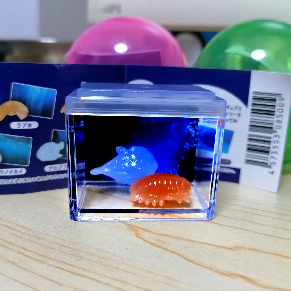 YELL Gashapon Toys Mini Fish Tank Sea Creatures Marine Organism Life Miniature Aquarium Slime Night Day Blind Box Children Gifts