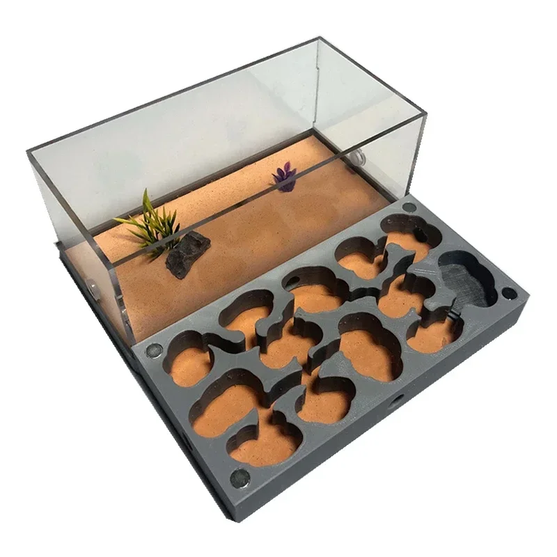 3D Flat Nest Plane Series Acrylic Ant Workshop Castle Pet Ecological with Feeding Area