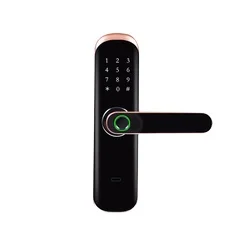 WiFi Fingerprint Lock Touch Screen Biometric Digital Keyless Door Handle for Glass/Wood/Bedroom/Aluminum Doors Cloud