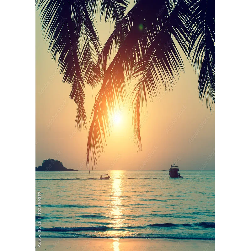 Tropical Meer Strand Palms Baum Fotografie Hintergrund Natural Scenic Foto Kulissen Photo Foto Studio 211227-HHB 01