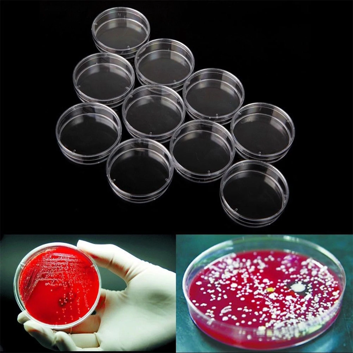 

20 pcs Plastic Dishes Lightweight Petri Dishes With Lid Ergonomic Design Lid Container for Lab Use
