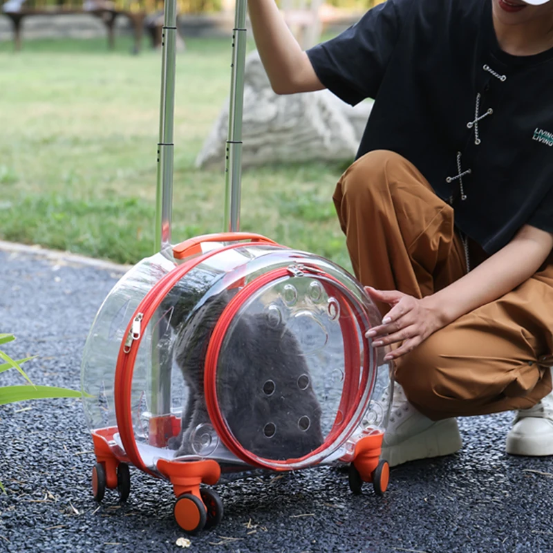 Mala de Viagem, Trolley Respirável para Animais de Estimação, Caixa Espacial Portátil, Bagagem de Cachorro e Gato, Transparente e Transparente, Nova, Mala Quatro Estações, 2021