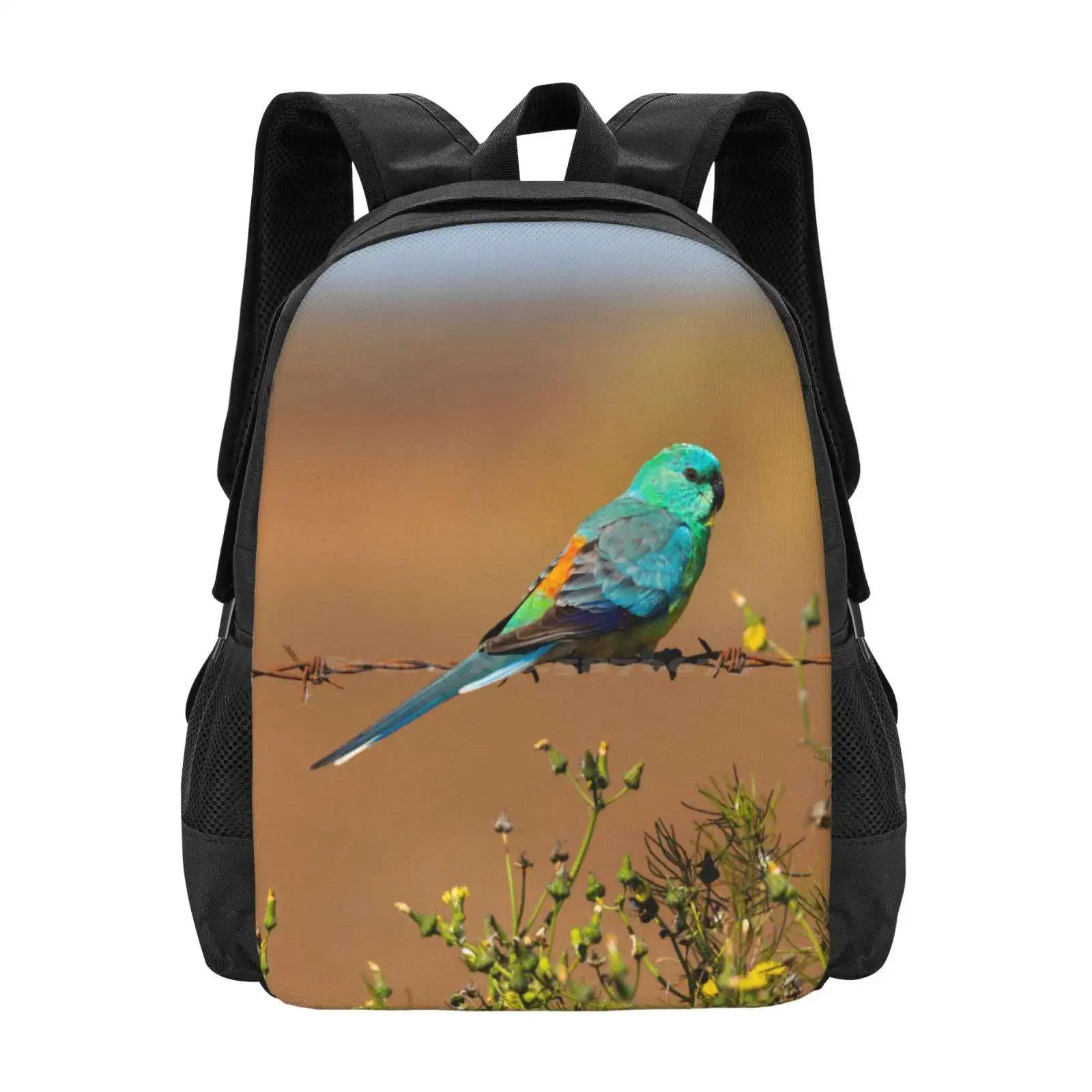 Red Rumped Parrot Hot Sale Schoolbag Backpack Fashion Bags Animal Birds Bird Art Australian Bird Australian Fauna Bird Theme