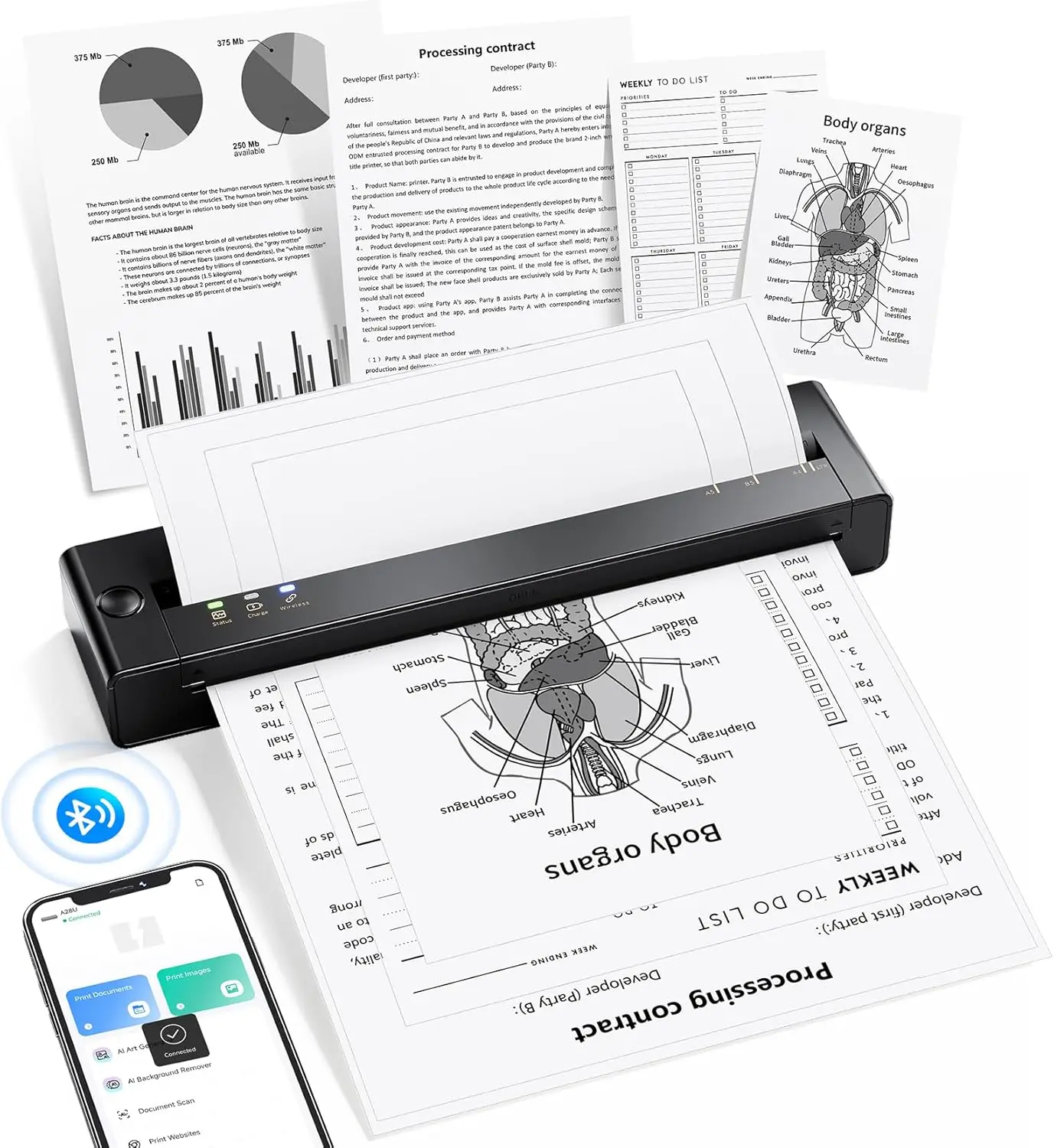 

Портативный беспроводной термопринтер для путешествий и дома, совместим с iPhone и ноутбуками, поддерживает формат US Letter.