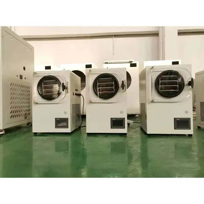 

Промышленные пищевые лиофилизированные сушки фруктов, вакуумные бытовые овощи - замораживающая сушилка и сушильное оборудование