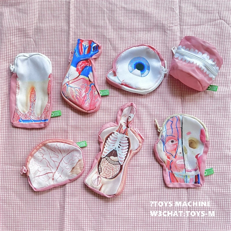 Medical Student Anatomical Coin Purse Tooth Brain Heart Eyeball Realistic Zipper Pouch For Office Desk Decor Holidays Gift