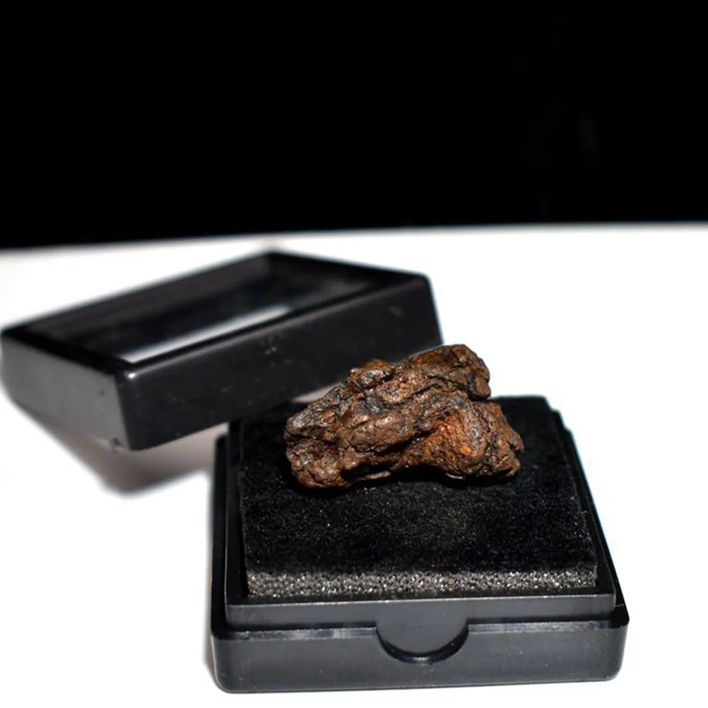 

2pcs Olive Meteorite Specimen Lithosiderite For Classroom Teaching Desktop Ornament Educational Plaything Teaching Equipment