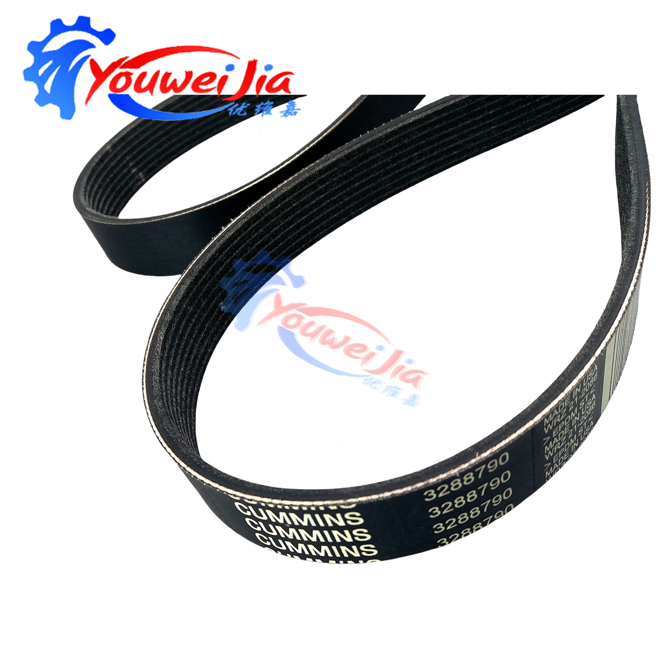 3288790 6BT 5.9 Cummins Diesel Engine Parts Fan Belt 3288812 QSB 5.9 AC Generator Wind Belt