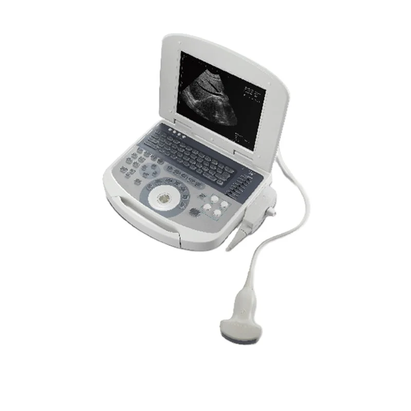 

Medical Laptop ultrasound scanner 2/D and 3/D portable medical