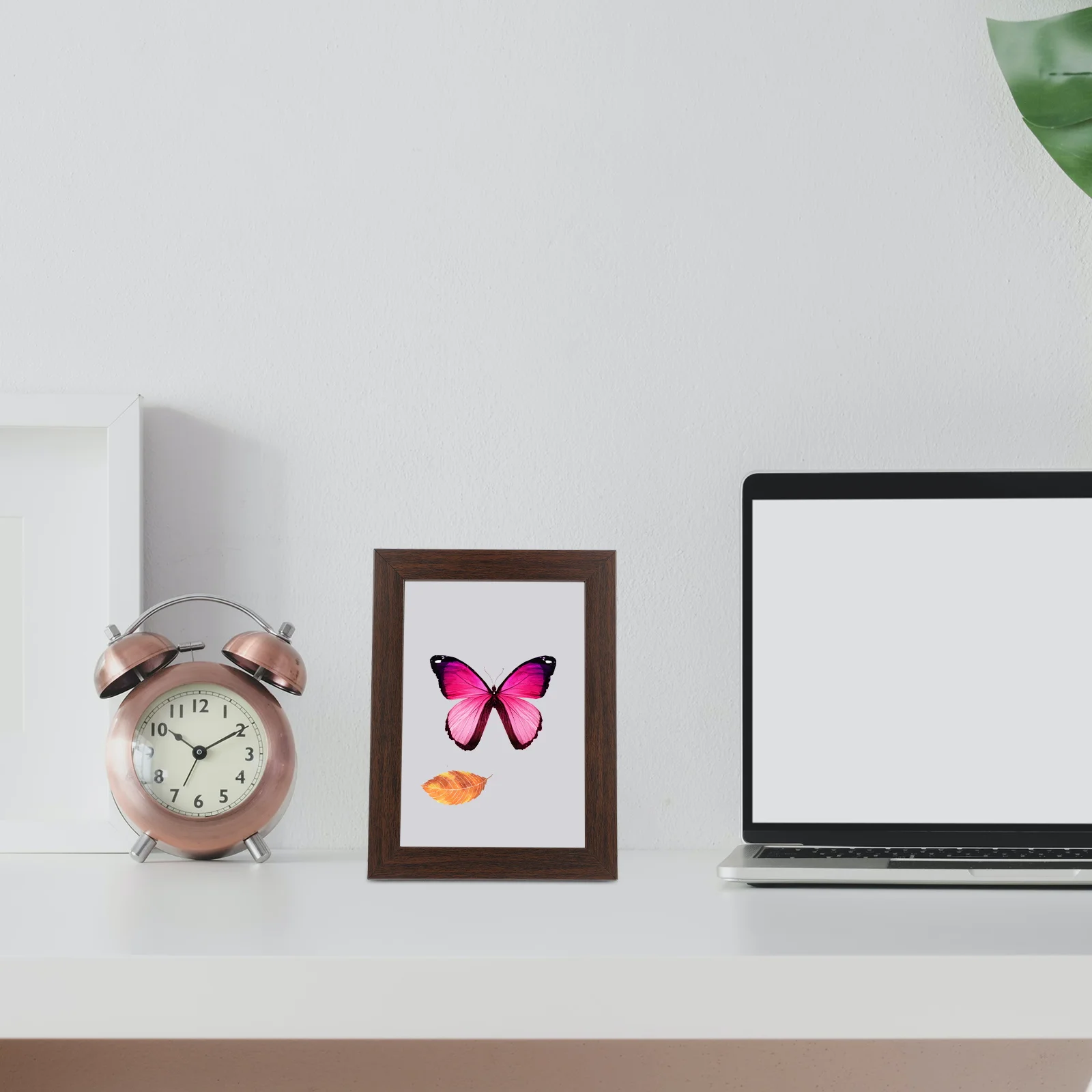 

Shadow Box Frame Display Case 10inch for Keepsakes Photos Dried Flowers Box Rustic Photo Display Case