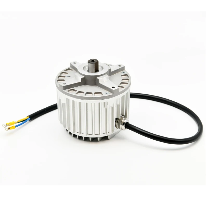 500W -5500W High Efficiency Brushless bldc dc motor for Outdoor Riding on Lawn Mower for High Pressure Washer