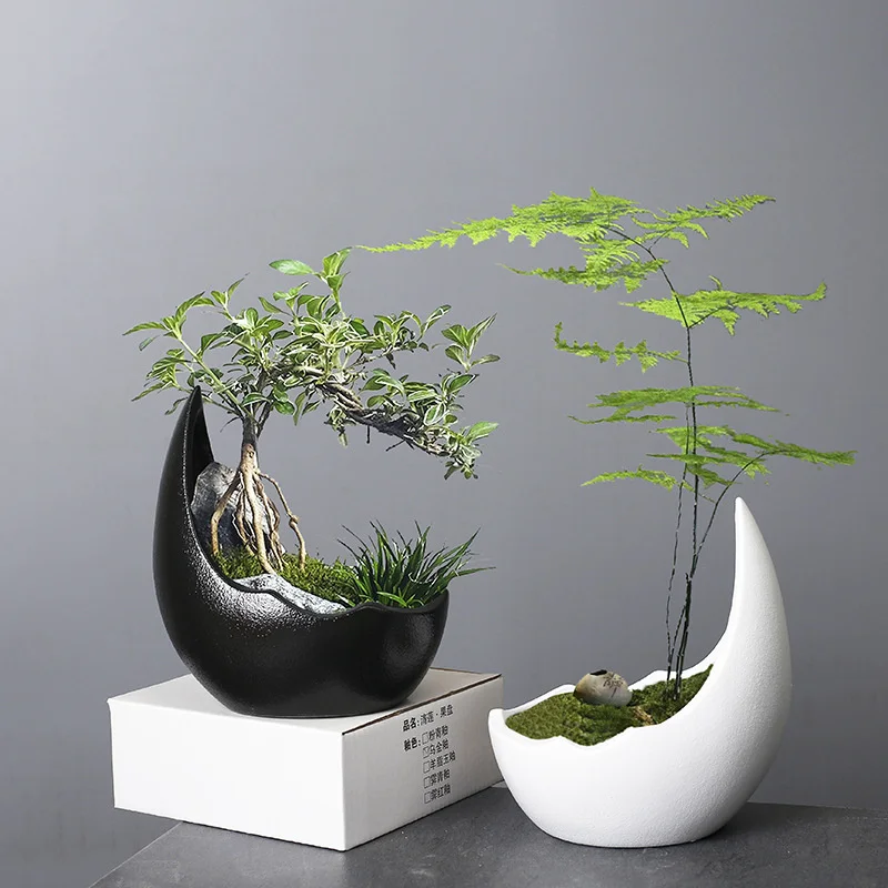 

Rhinoceros Horn Shape Ceramic Flower Pot Green Plant Pot Succulent Planter Cactus Bonsai Pot Flower Container Home Decoration