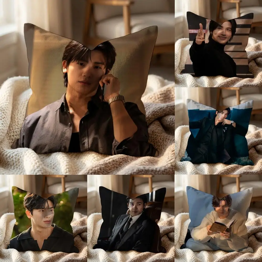 Singer P-Park HyungS SikS Cushion Cover Multi-Scene Pillow C