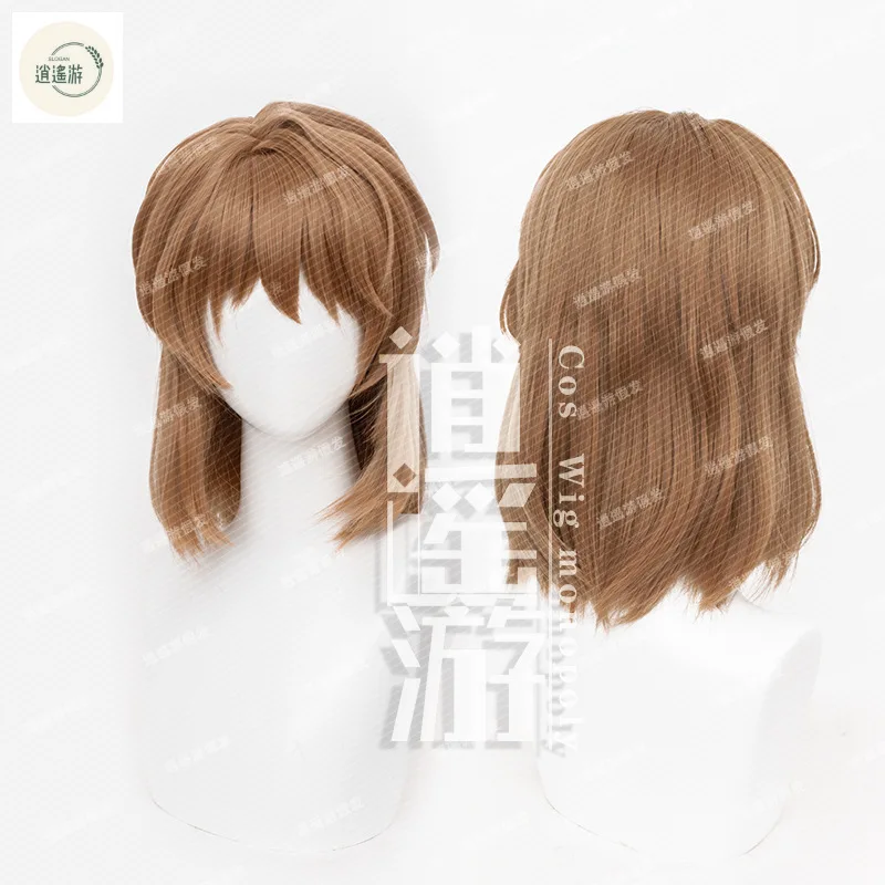 Haibara Ai Miyano Shiho Cosplay Wig Anime Detective Conan 40CM Brown Heat-resistant Synthetic Wig Halloween Cosplay Wigs+wig Cap