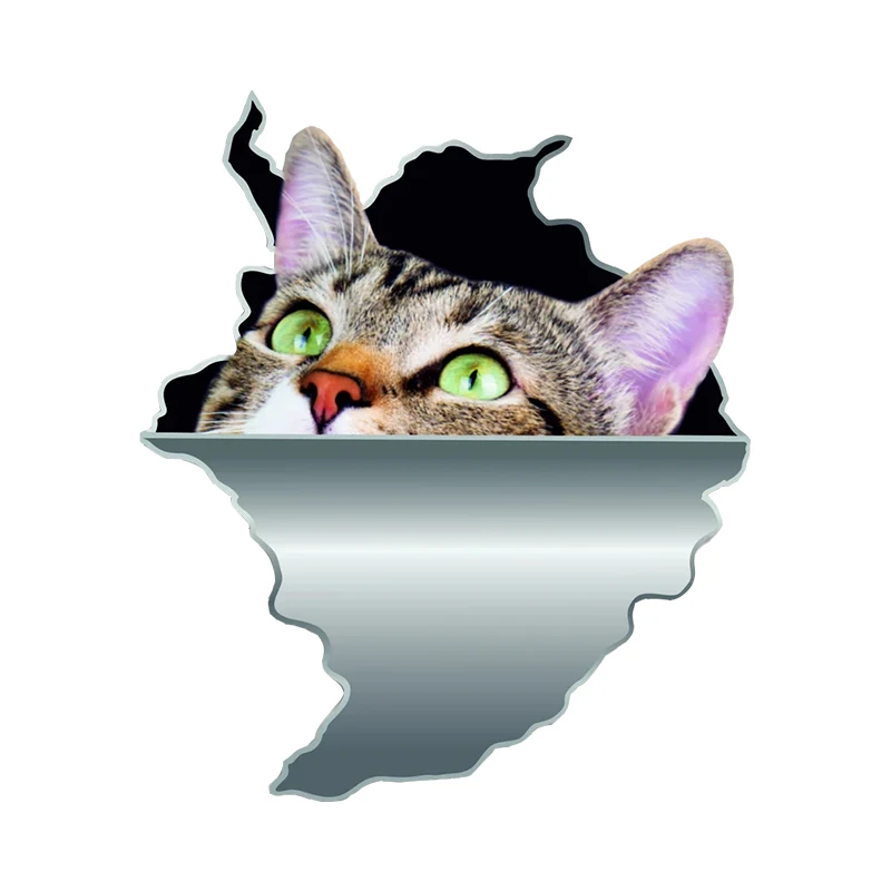 

V1110# Car Sticker Cat Pet Animal Waterproof Vinyl Decal Car Accessories Decor Pegatinas Para Coche