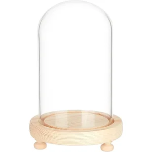 1 pcs Glass dome with glass base Cloche jar display pink plants flower display clay succulents storage home party Christmas 8 Main Sales Glass Copula - №1