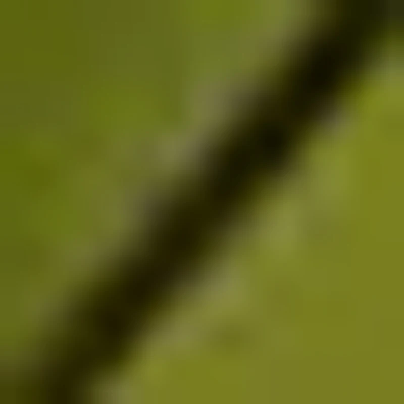 

Digital Home Finger Tip Pulse Rate Fingertip Medical Pulsioximetro SPO2 Blood Oxygen PR Oximeter Monitor Saturation Meter A3