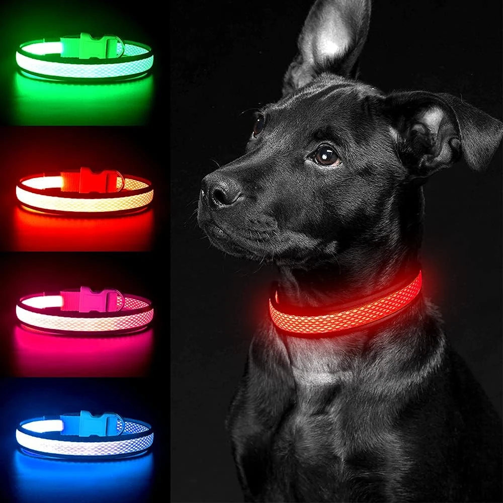 Thumbnail 4 - #28 Best LED Puppy Collars to Buy In 2026