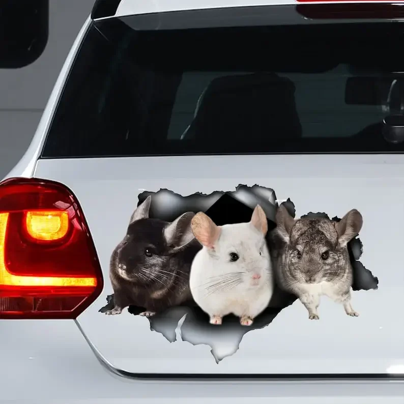 Cute Chinchilla car decal, chinchilla magnet, funny chinchilla sticker