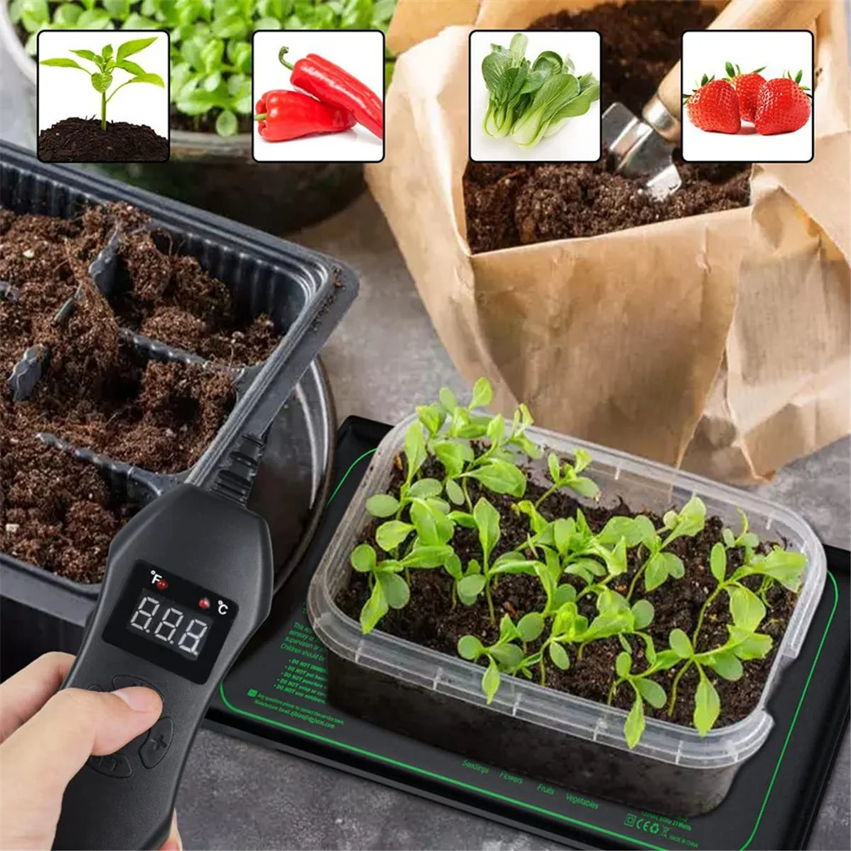 50W Seedling Heat Mat with Thermostat with Temperature Setting From 5℃ to 42℃ for Plants Growth,Germination EU Plug