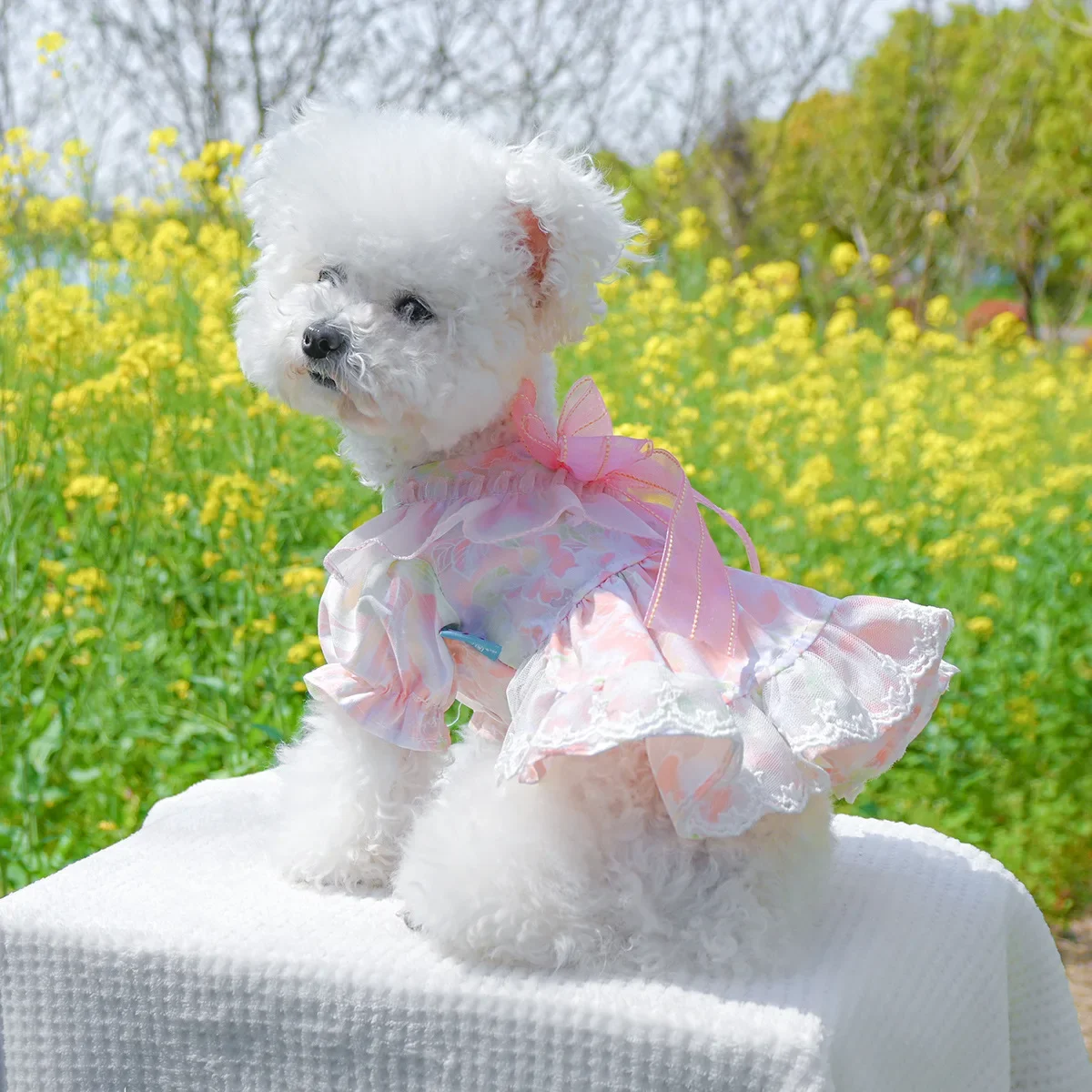 

Lace princess dress for dog and cat, spring and summer clothing, cute, with bow, flower