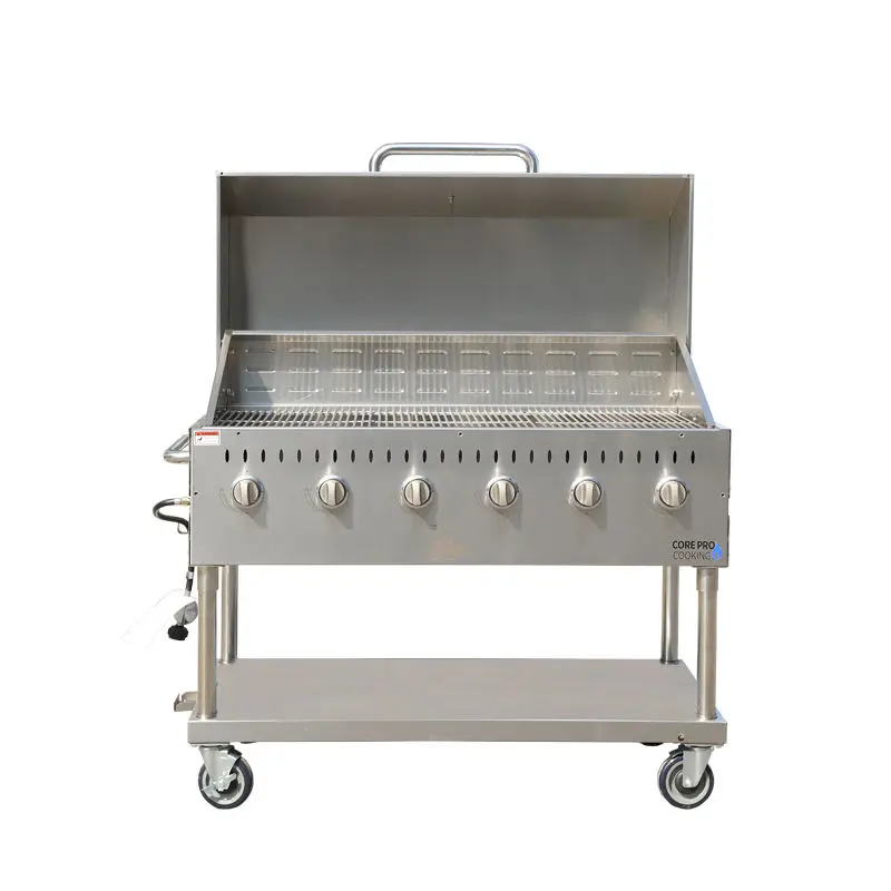Commercial Stainless Steel BBQ Gas Outdoor Grills for Kitchen Equipment