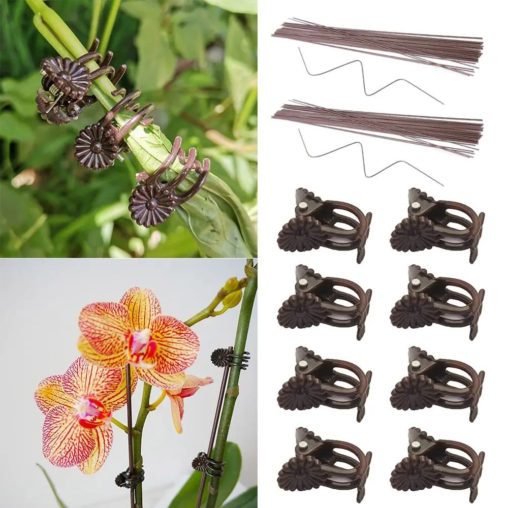 100PCS Orchid Flower Support Plant Clips Vine Grafting Supplies Garden Tools Orchid Clips 6-Claw Plastic Grafting Clip