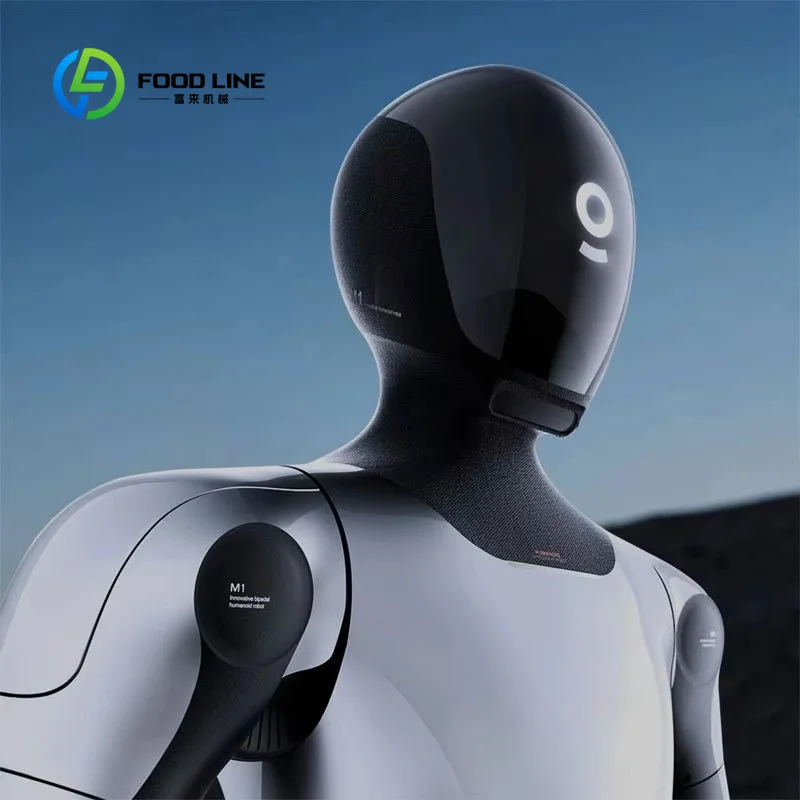 Customized High-Performance Humanoid Robot with 42 Degrees of Freedom for Industrial and Household Applications
