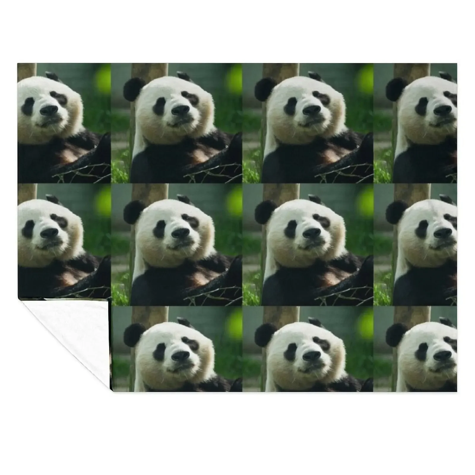 

Sunshine the Panda Throw Blanket Decorative Sofas Designers Soft Big Blankets Sofas Of Decoration Blankets