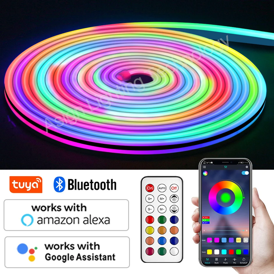 

12V RGBIC Neon Light Led Strip Tuya WiFi/Bluetooth/Infrared Remote Control Waterproof Dreamcolor Led Neon Strip EU AU UK US Plug