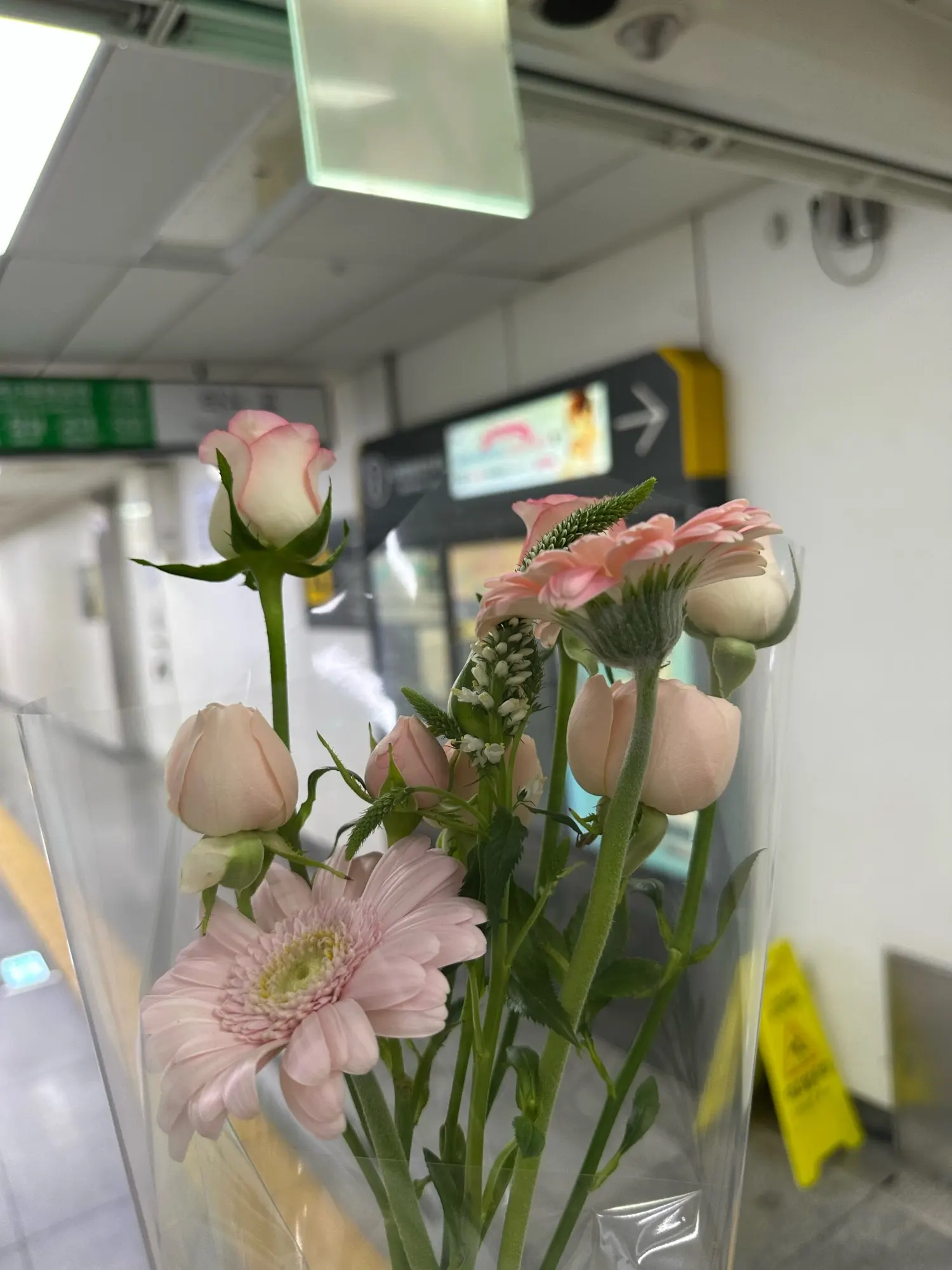 실물 포토 리뷰