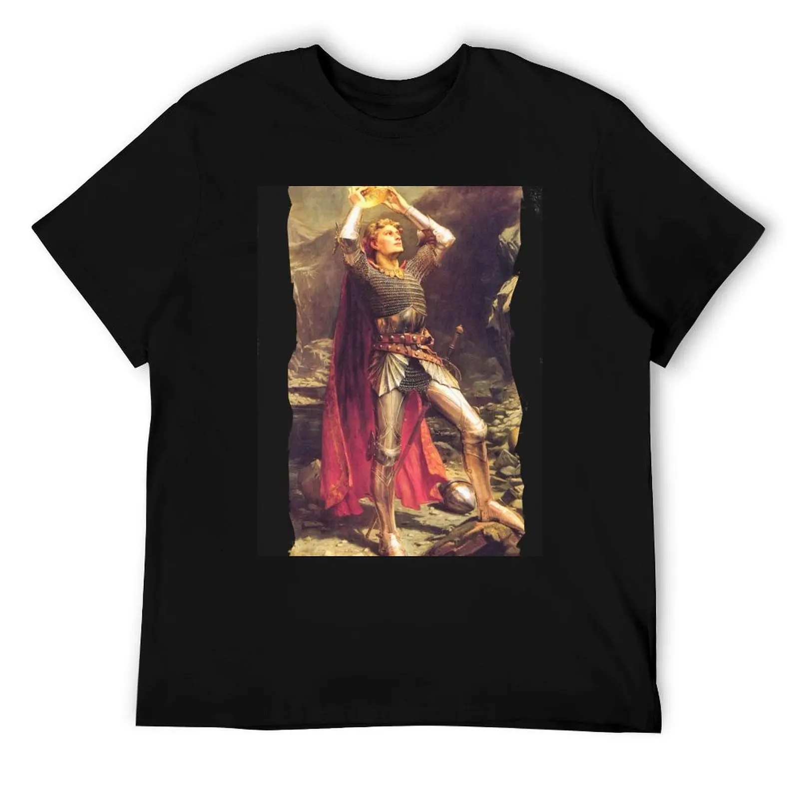 

King Arthur T-Shirt funny t shirts dark humor funny t shirts cotton man t shirt cotton T-Shirt