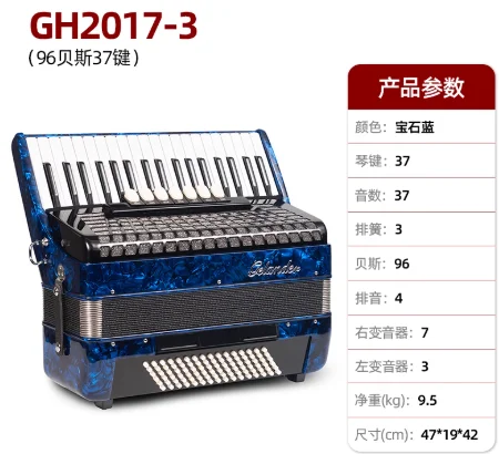 Accordion Instruments Adult Children 60/96 Mini Bass Professional Accordion