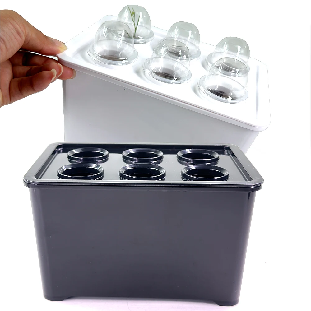 

6-ячеечная гидропонная коробка для посадки для теплицы, сада, семян, овощей, горшок для выращивания без беспочвеня, системы выращивания гидропоники